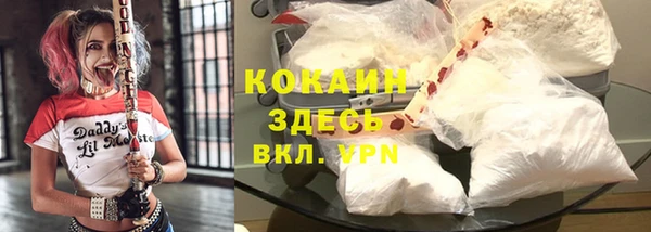 гидра Богородск