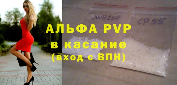 гидра Богородск