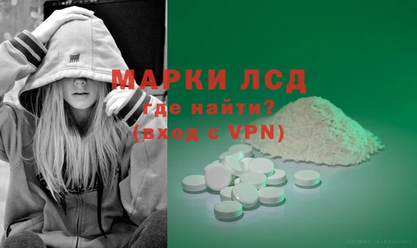 гидра Богородск