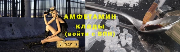 гидра Богородск
