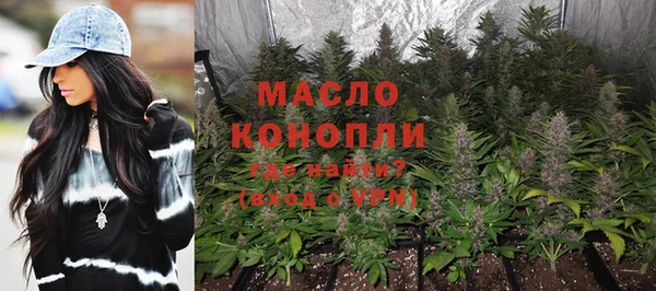 гидра Богородск