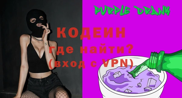 гидра Богородск
