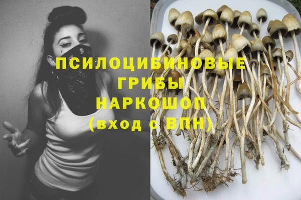 дурь Богородицк