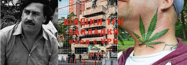 дурь Богородицк