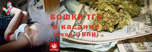 гидра Богородск