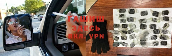гидра Богородск