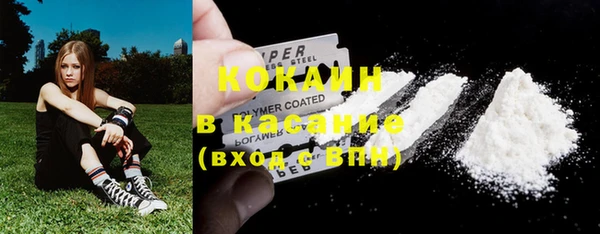 гидра Богородск